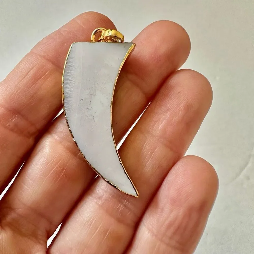 Abalone tusk pendant necklace